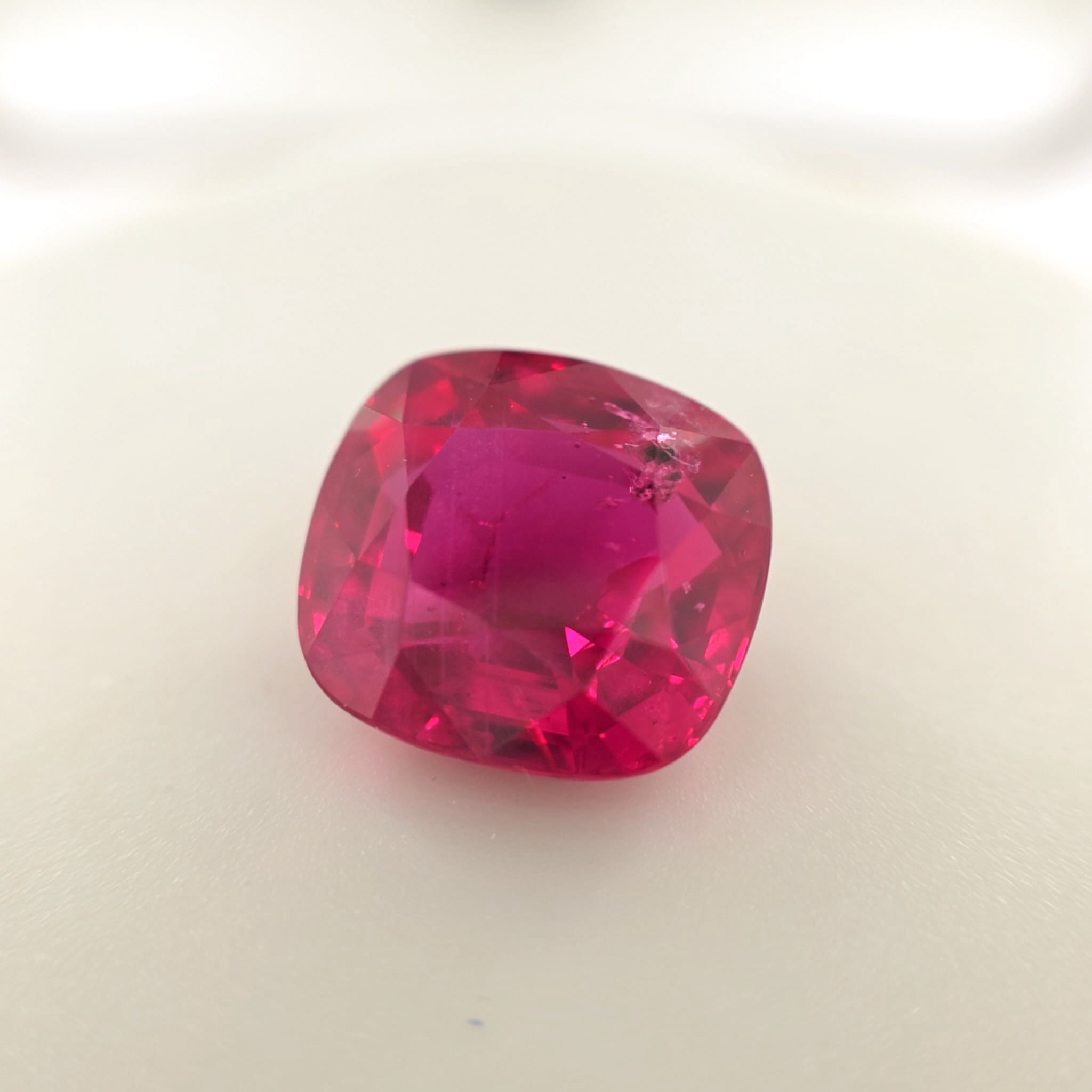 The Lady Rose – Lightbox Macro